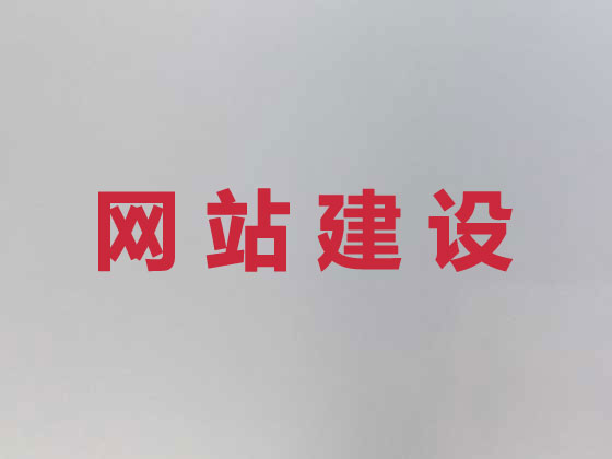 来宾专业网站建设